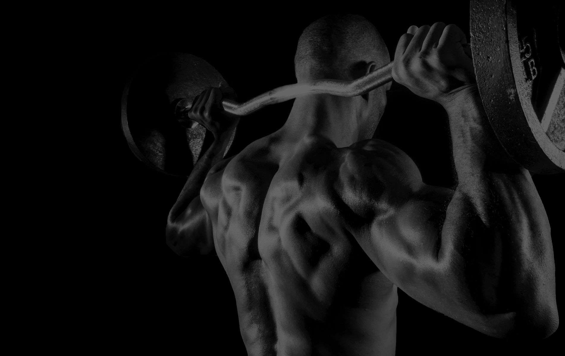 Krafttraining im Gegenlicht